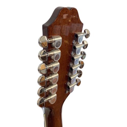 EPIPHONE (エピフォン) アコースティックギター DR-212/N