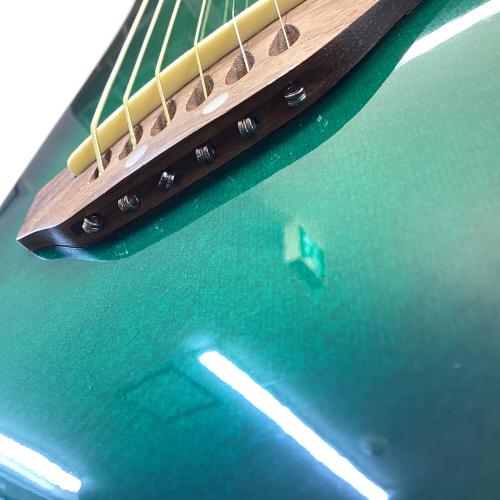APPLAUSE (アプローズ) アコースティックギター AA-10
