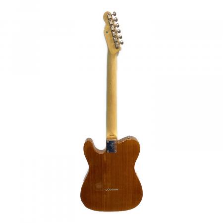 FENDER JAPAN (フェンダージャパン) テレキャスターシンライン TN70-75
