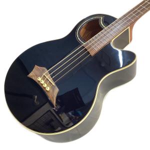 Warwick (ワーウィック) エレアコベース Rock Bass Alien Deluxe WAC1574