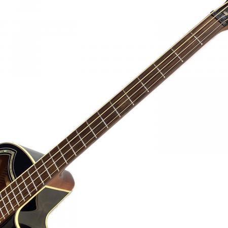 Warwick (ワーウィック) エレアコベース Rock Bass Alien Deluxe