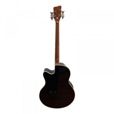 Warwick (ワーウィック) エレアコベース Rock Bass Alien Deluxe