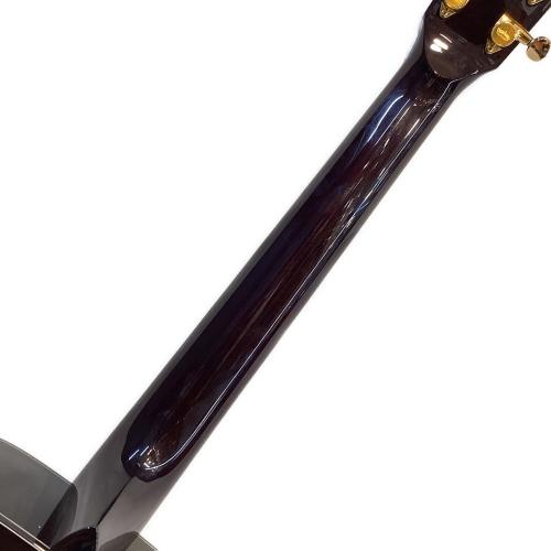 Headway (ヘッドウェイ) アコースティックギター HD-SAKURA DXV 日本製