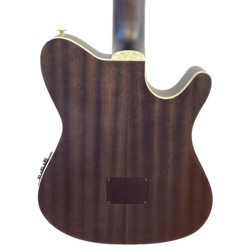 IBANEZ (アイバニーズ) Tim Henson Signature エレアコギター TOD10NL 2024年製