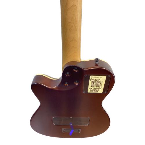 Godin (ゴダン) 12弦エレアコギター A12 Natural SG 2008年製 カナダ製