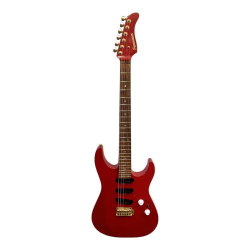 FERNANDES (フェルナンデス) エレキギター 楽器店オーダーモデル