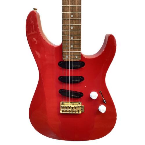 FERNANDES (フェルナンデス) エレキギター 楽器店オーダーモデル