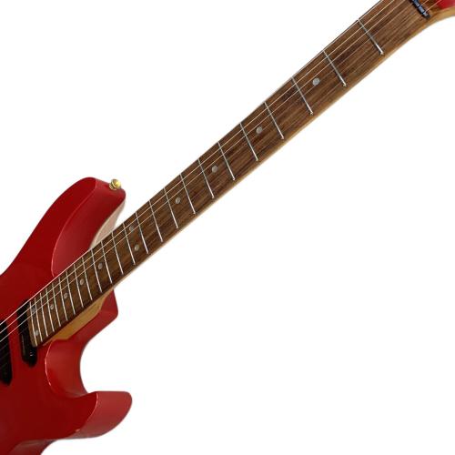 FERNANDES (フェルナンデス) エレキギター 楽器店オーダーモデル