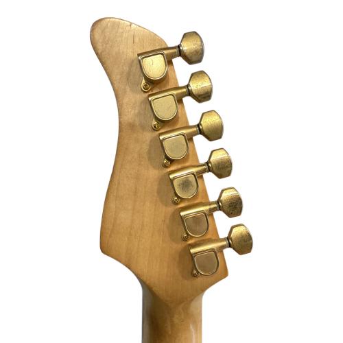 FERNANDES (フェルナンデス) エレキギター 楽器店オーダーモデル