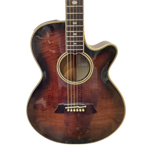 Takamine (タカミネ) エレアコギター NPT-115 1988年製 日本製