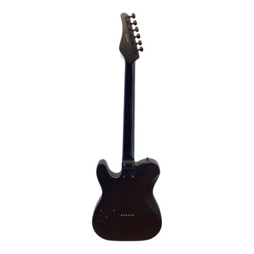 SCHECTER (シェクター) エレキギター PA-AM/SH SiM SHOW-HATEモデル