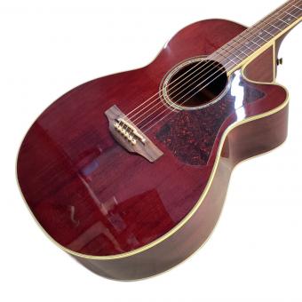 Takamine (タカミネ) エレアコギター DMP551C 日本製