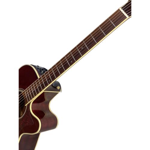 Takamine (タカミネ) エレアコギター DMP551C 日本製