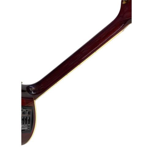 Takamine (タカミネ) エレアコギター DMP551C 日本製