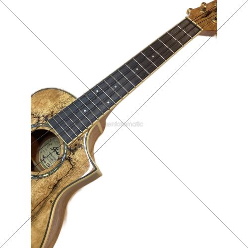 IBANEZ (アイバニーズ) コンサートエレキウクレレ UEW20SGE-NT-3T-01 インドネシア製