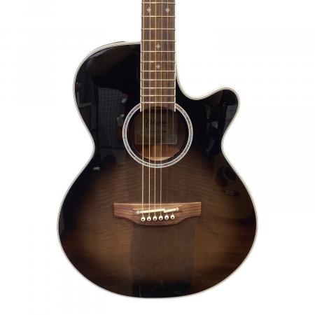 Takamine (タカミネ) エレアコギター PTU121C GBB 2018年製 日本製
