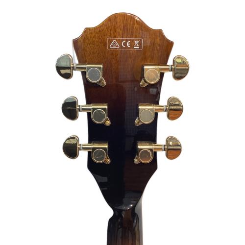 IBANEZ (アイバニーズ) エレキギター AS93-VLS-12-4 2012年製 中国製