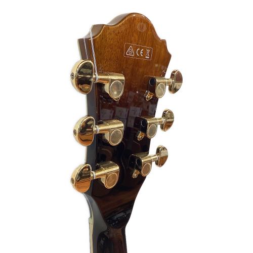 IBANEZ (アイバニーズ) エレキギター AS93-VLS-12-4 2012年製 中国製