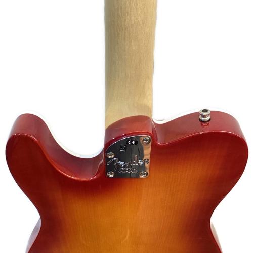 FENDER USA (フェンダーユーエスエー) エレキギター LTD American Elite Telecaster Thinline 2019年製 USA製